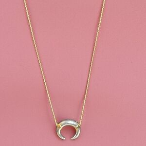 Stella & Dot Two-Tone Crescent Pendant Necklace